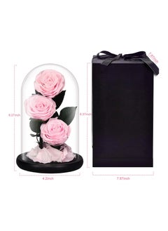 Vitacelli Luxury Preserved Pink Roses in Glass Dome – Real Eternal Flowers with Gift Box for Valentine’s Day, Birthday & Special Occasions  - Image 4