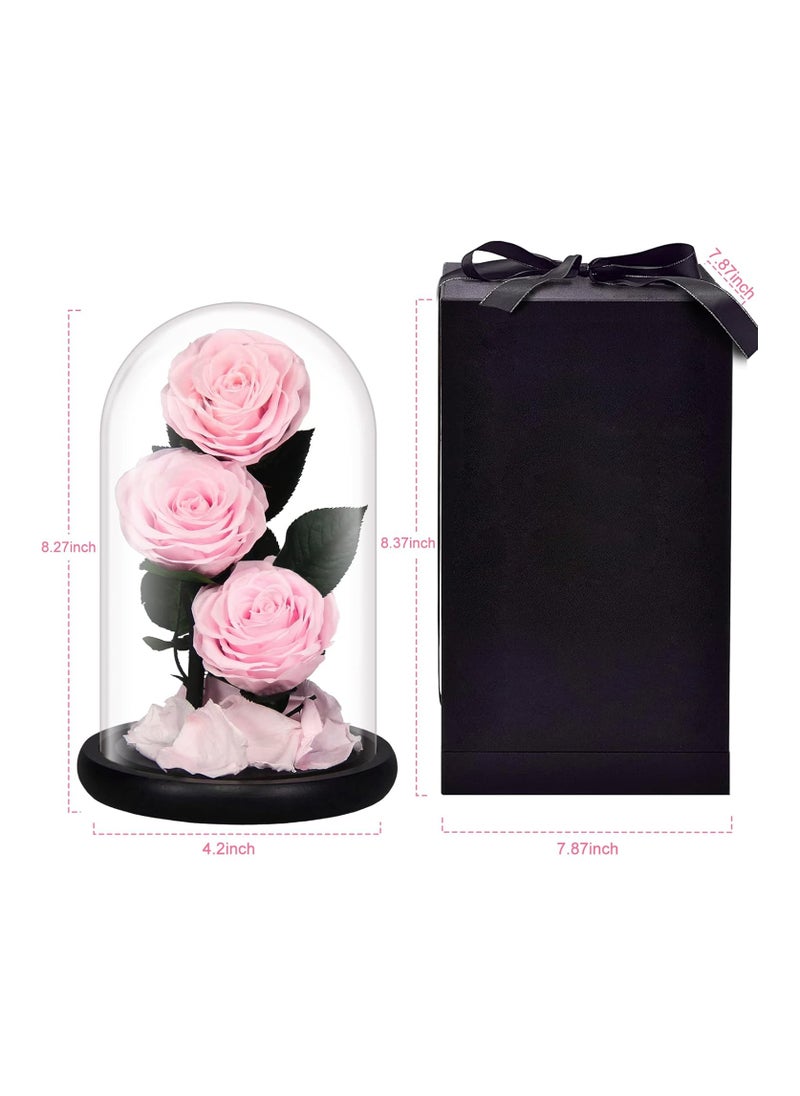 Vitacelli Luxury Preserved Pink Roses in Glass Dome – Real Eternal Flowers with Gift Box for Valentine’s Day, Birthday & Special Occasions  - Image 4