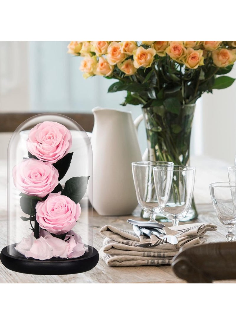 Vitacelli Luxury Preserved Pink Roses in Glass Dome – Real Eternal Flowers with Gift Box for Valentine’s Day, Birthday & Special Occasions  - Image 5