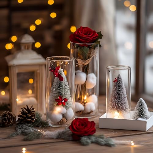 TBWIND 12Pcs Glass Cylinder Vases 8 Inch Tall Clear Flower Vases for Centerpieces Wedding Decoration, Hurricane Floating Candle Holder for Party Table Home Decor - Image 5