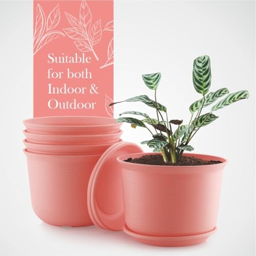 INKULTURE 10 Inch Plastic Round Flower Pots with Tray for Home Planters, Terrace, Garden Etc | Pack of 05 | Pink | for Home Indoor & Outdoor Gardening Plants - Image 3