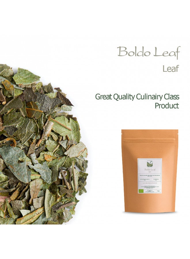 Valley of Tea Boldo Leaves Tea Organic - Boldo Leaf - Te de Boldo Organico - Peumus Boldus - Boldo Tea Leaf Boldo Leaves Organic Boldo Leave Tea  - Image 2