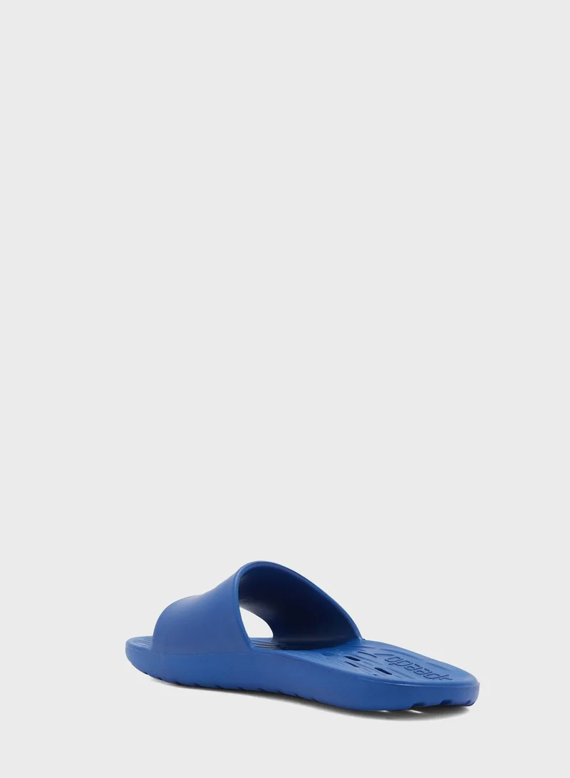 speedo Slides Am