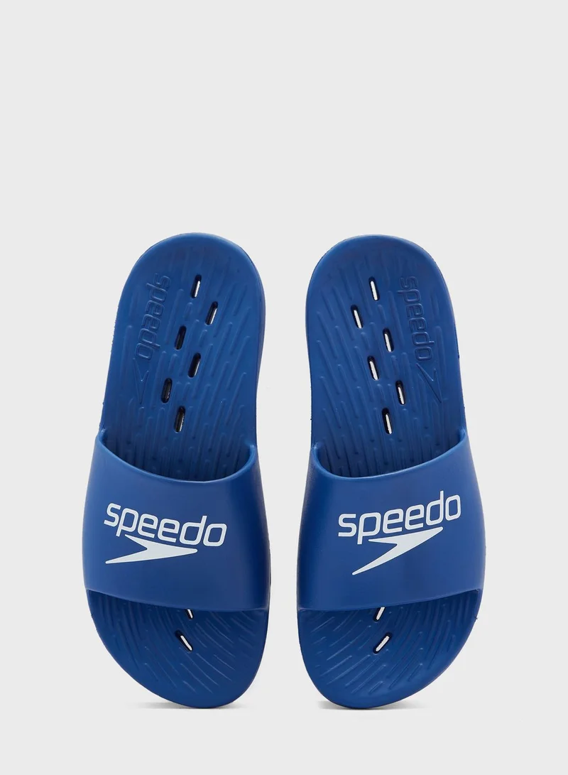 speedo Slides Am