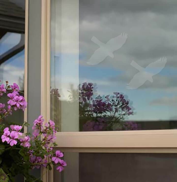 Songbird Essentials WindowAlert Hawk Anti-Collision Decal (SE7015) - UV-Reflective Window Decal to Protect Wild Birds from Glass Collisions - Made in The USA - Image 3