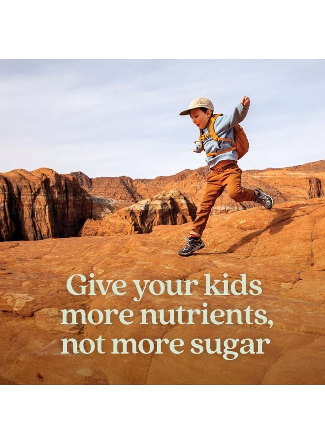 New Chapter Kids Multivitamin Gummies - 50% Less Sugar, Kids Gummy Vitamins With Vitamins C, D3 & Zinc, Non-Gmo, Gluten Free, Berry-Citrus, 60Ct - Image 2