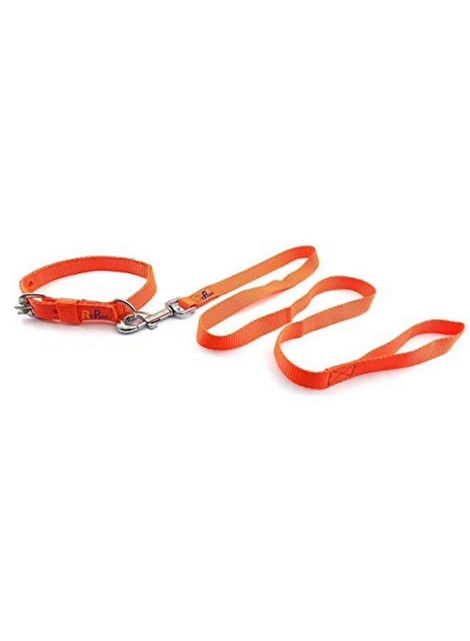 طقم طوق ومقود للحيوانات الأليفة مقاس 22 مم، شريط نايلون ناعم قابل للتعديل، طقم طوق ومقود للكلاب بقياس 0.75 بوصة للسلالات الصغيرة والمتوسطة من الكلاب والجراء (برتقالي) - Image 3