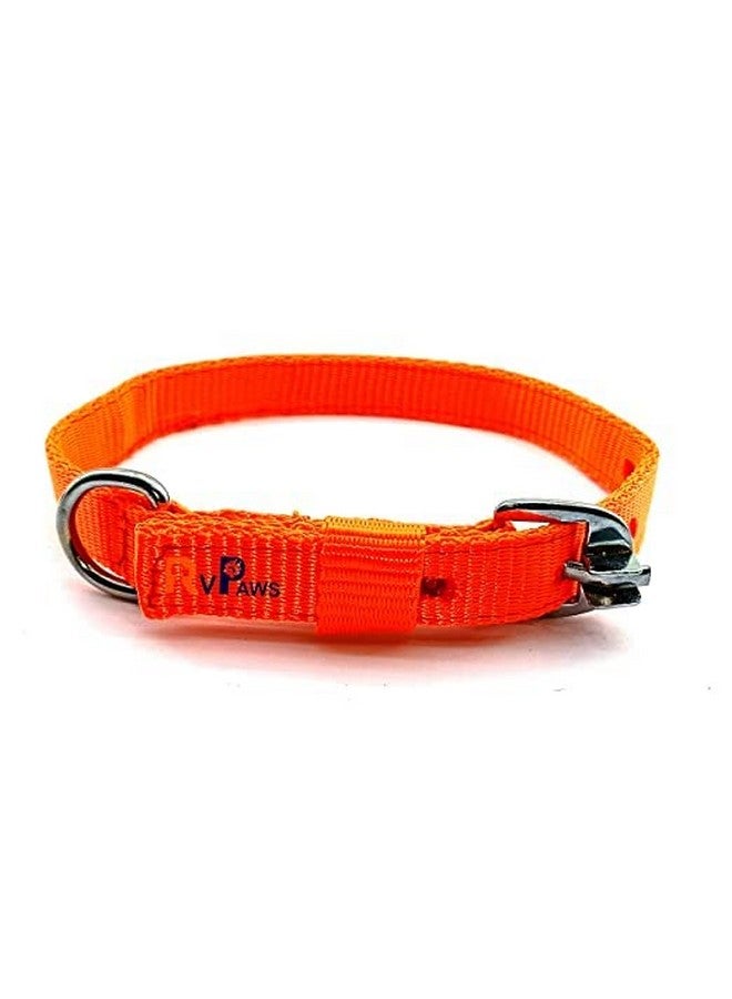 طقم طوق ومقود للحيوانات الأليفة مقاس 22 مم، شريط نايلون ناعم قابل للتعديل، طقم طوق ومقود للكلاب بقياس 0.75 بوصة للسلالات الصغيرة والمتوسطة من الكلاب والجراء (برتقالي) - Image 4