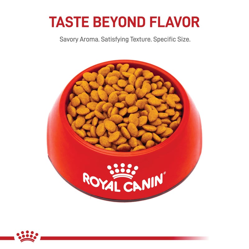 Royal Canin Feline Breed Nutrition Persian Adult Dry Cat Food, 7 lb Bag - Image 5