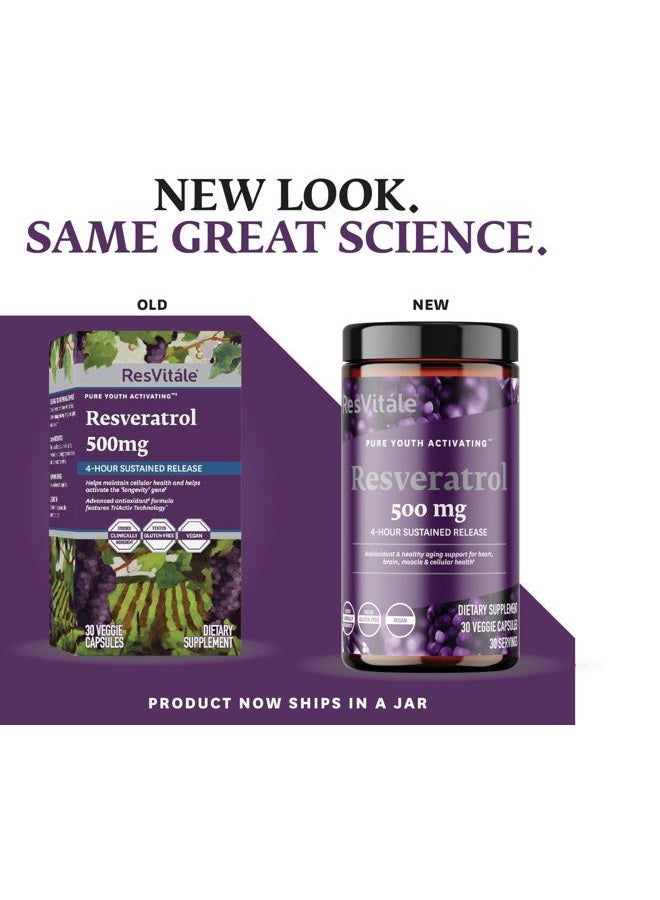 ResVitale Resveratrol 500 mg - Resveratrol Supplement for Men and Women - 30 Veggie Capsules - Image 3