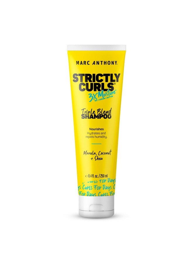 مارك أنتوني شامبو للشعر المجعد، Strictly Curls - ترطيب 3X لتحديد التجعيد وتعزيز التجعيد - زبدة الشيا وزيت المارولا والصبار وكريم جوز الهند - خالٍ من الكبريتات وآمن على اللون للشعر الجاف التالف - Image 1