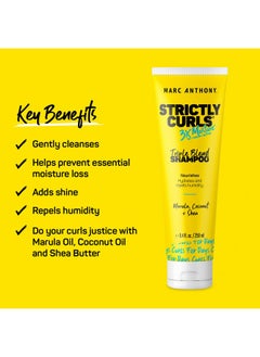 مارك أنتوني شامبو للشعر المجعد، Strictly Curls - ترطيب 3X لتحديد التجعيد وتعزيز التجعيد - زبدة الشيا وزيت المارولا والصبار وكريم جوز الهند - خالٍ من الكبريتات وآمن على اللون للشعر الجاف التالف  - Image 2