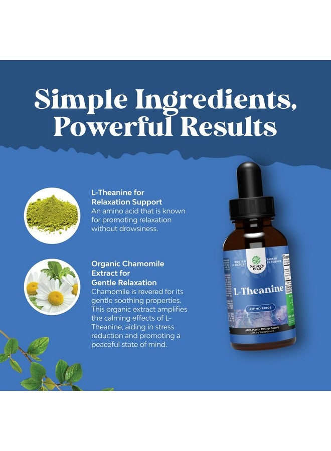 Natures Craft قطرات سائلة من L-Theanine عالية الامتصاص - مكمل نوتروبيك للتركيز مع L Theanine 200 ملغ لكل حصة ومستخلص البابونج - مكمل L Theanine للبالغين والأطفال للاسترخاء والتركيز - 2 أونصة - Image 5
