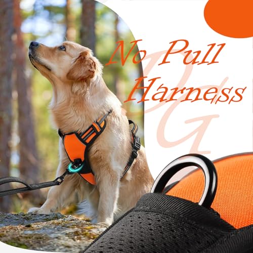Doggo Bite Premium Reflective Dog Vest Harness| Soft Breathable| Padded Handle| Adjustable Straps & Luxury Buckle | Soft Padded Mesh | No Pull | No-Choke | Chest 27-36inch | All Large Breeds 23-35Kg - Image 5