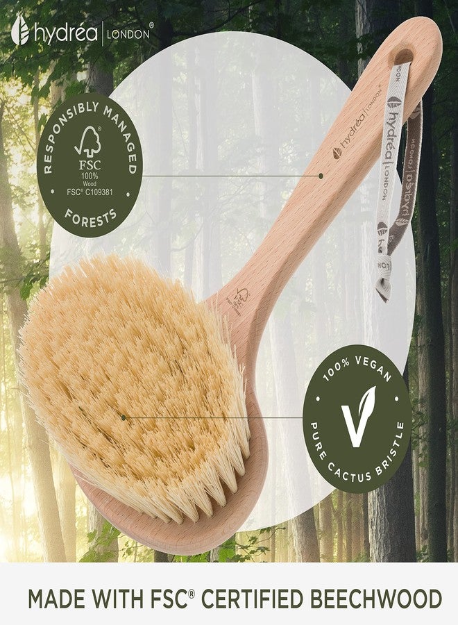 Hydrea London Hydréa London Professional Dry Skin Detox Body Brush with Extra Long Cactus Bristles - Image 2