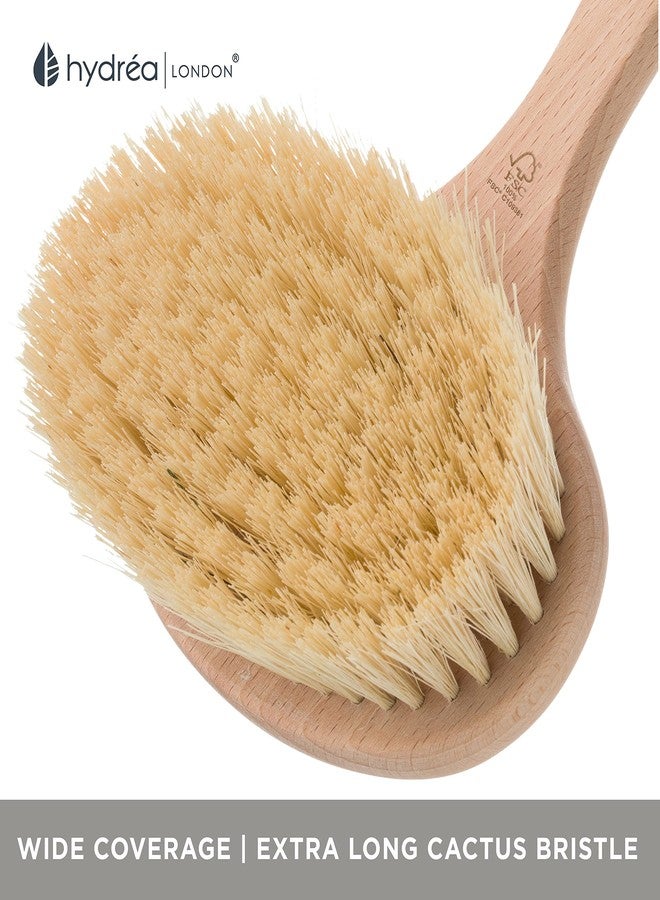 Hydrea London Hydréa London Professional Dry Skin Detox Body Brush with Extra Long Cactus Bristles - Image 3