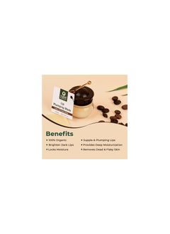 Organic Harvest Harvest Lip Plumping Sleeping Mask with Coffee Extracts, For Dry, Dull, Hydration & Repair of Chapped Lips | Best for Men & Women,8 gms  - Image 4