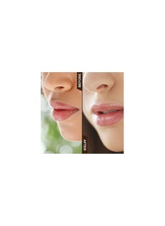 Organic Harvest Harvest Lip Plumping Sleeping Mask with Coffee Extracts, For Dry, Dull, Hydration & Repair of Chapped Lips | Best for Men & Women,8 gms  - Image 3