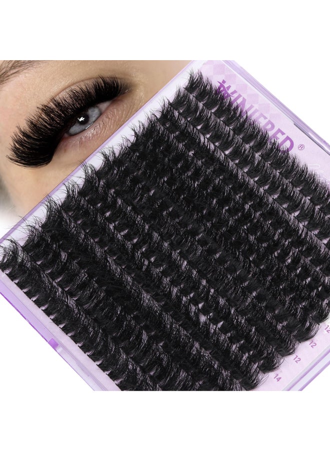 Winifred Lash Clusters Eyelash Extensions Wispy Lash Clusters 80D Individual Lashes Thick Volume Cluster Lashes D Curvature Lash Extension Mink Eyelash Clusters 240pcs - Image 2