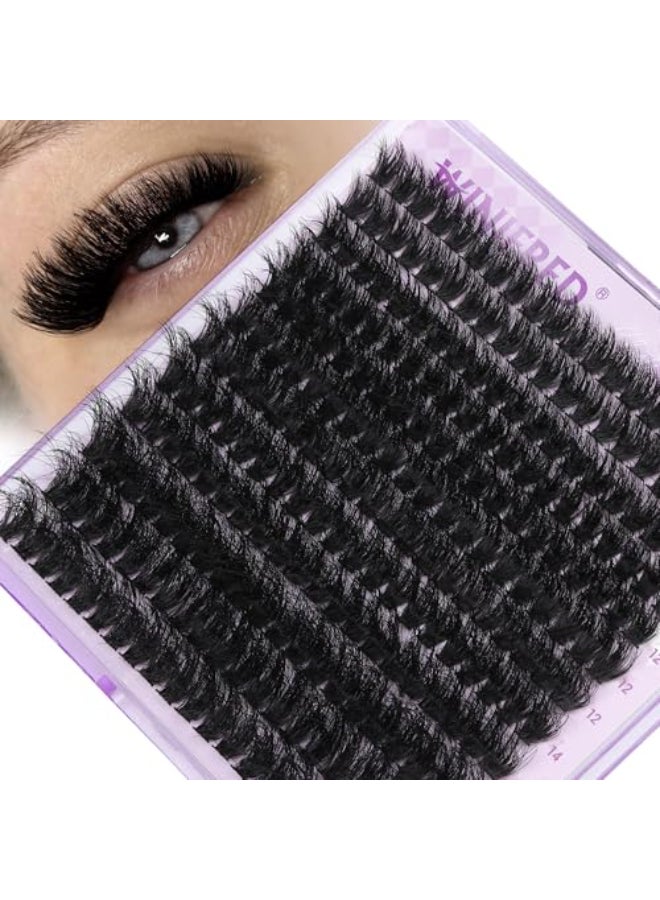 Winifred Lash Clusters Eyelash Extensions Wispy Lash Clusters 80D Individual Lashes Thick Volume Cluster Lashes D Curvature Lash Extension Mink Eyelash Clusters 240pcs - Image 1