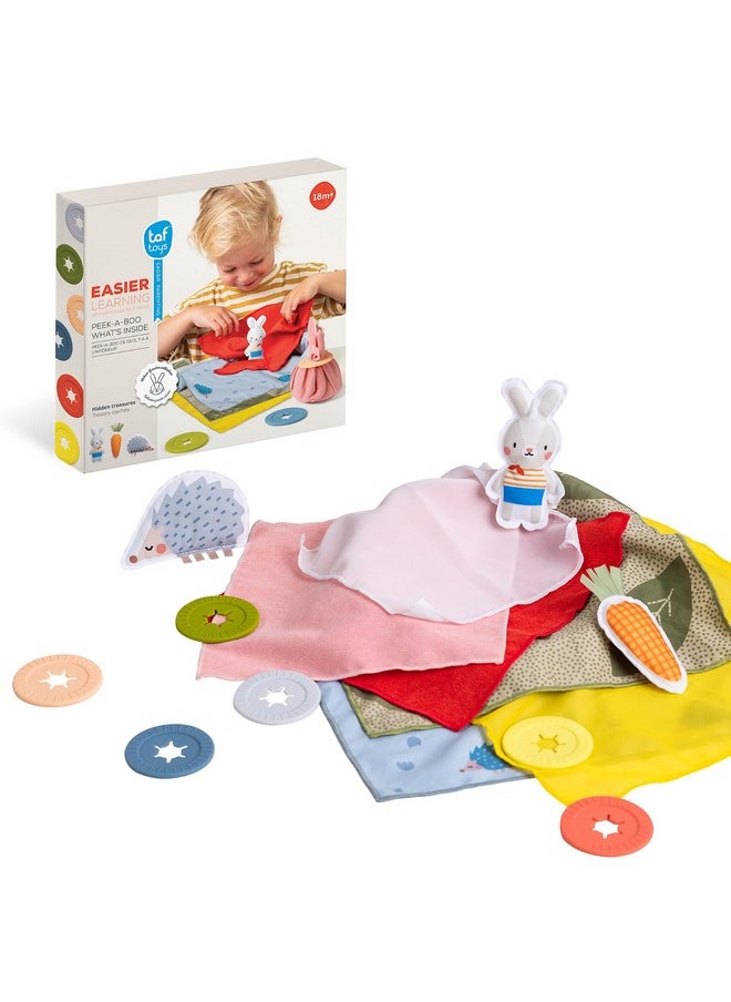 Taf Toys Taf Toys Peek-a-Boo What's Inside? Sensory Toy for Babies 18 Months & up, Montessori Tissue Toy for Color Matching & Fine Motor Skills Development, Baby Toy with Hidden Activity Toys  - Image 1