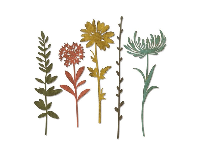 Sizzix Thinlits Die Set Wildflower Stems 1 by Tim Holtz 5 Pack One Size Multicolor 5 Piece