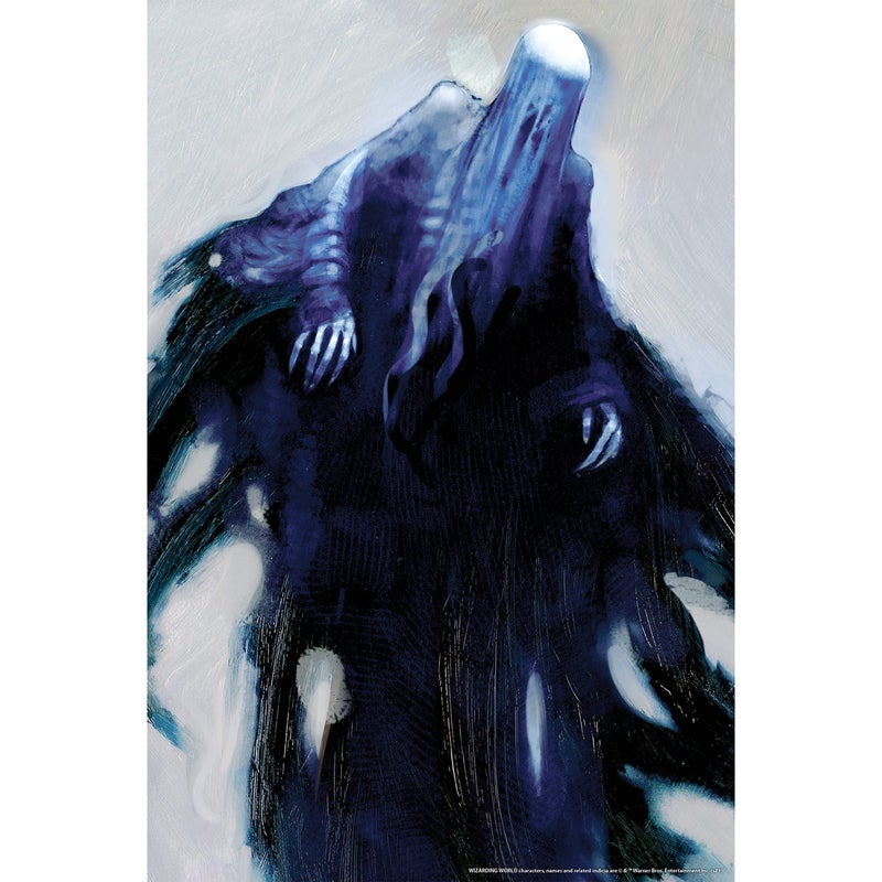 Rubies Harry Potter Printed Plastic Decorative Window Cover Dementors 36 x 24