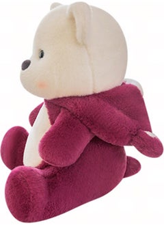 Canestar Cute Hooded Plush Bear - Special Plush Toy for Lover  - Image 3