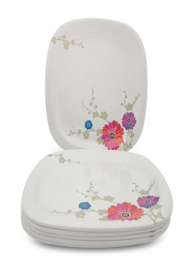 Superware | Pure Melamine | Buffet Plate Set - Barberto Daisy 12.5” (6 nos.) | Stain Free, Glazed Finish - Image 1