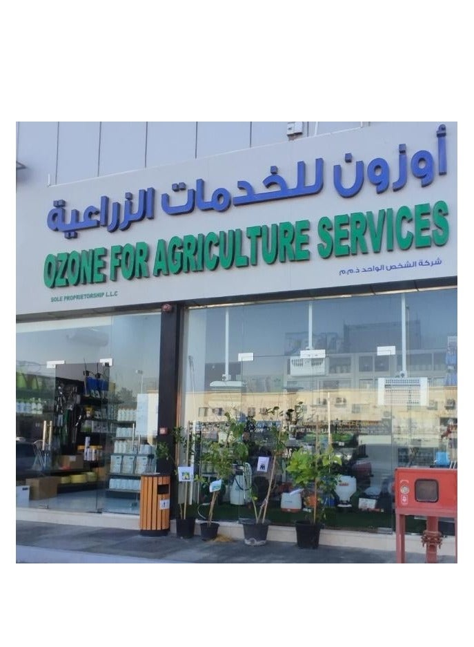 Lemon Trees - Image 1