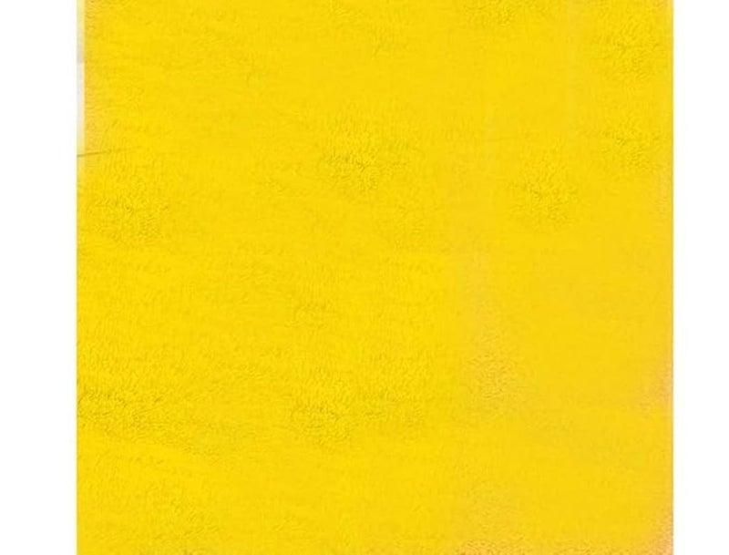 ENIGMATIC Shaggy Carpet for Living Room – Soft Fluffy Rug & Non Slip Runner Carpet – Cozy Shaggy Area Rug for Bedroom & Lounge (4x6 feet, Yellow) - Image 3