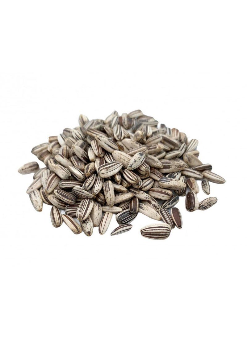 Euro Garden Sunflower - Image 3