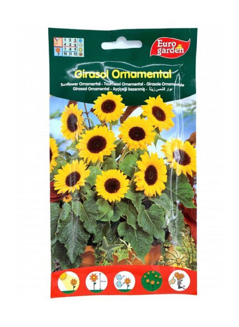 Euro Garden Sunflower - Image 1