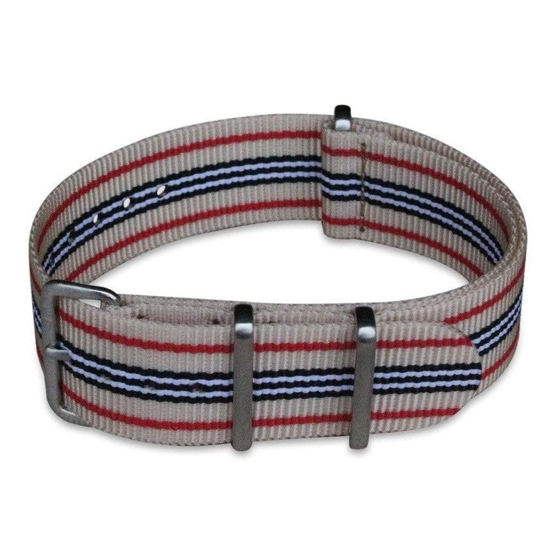 BluShark Original Collection MilitaryStyle Waterproof Watch Strap Fits All Timepiece Brands Durable Nylon Wristwatch Accessories with Stainless Steel Buckle Professor 22mm