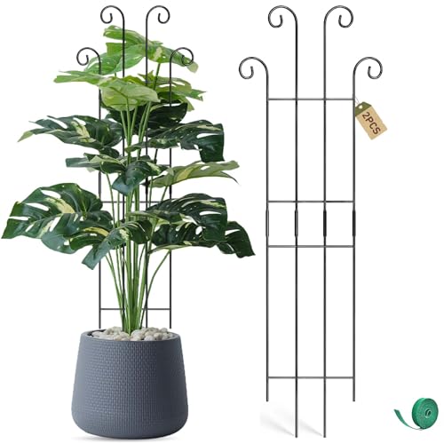 Coomin 326in Monstera Plant Support Stakes for Outdoor Plants Garden Trellis for Climbing Plants Metal Stakes for Potted Plants Pothos Plant Climber Support 2P - Image 1