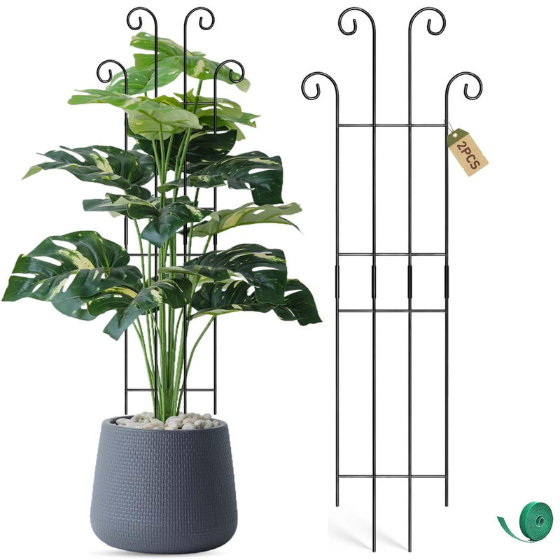 Coomin 326in Monstera Plant Support Stakes for Outdoor Plants Garden Trellis for Climbing Plants Metal Stakes for Potted Plants Pothos Plant Climber Support 2P - Image 2