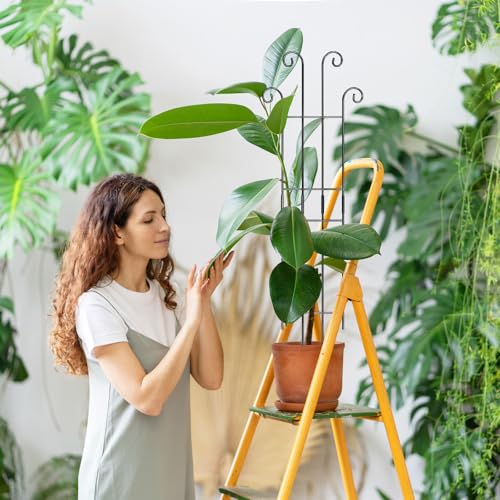 Coomin 326in Monstera Plant Support Stakes for Outdoor Plants Garden Trellis for Climbing Plants Metal Stakes for Potted Plants Pothos Plant Climber Support 2P - Image 3