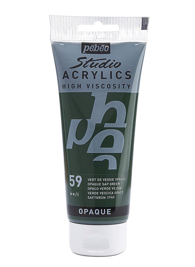 PEBEO STUDIO ACRYLICS HIGH VISCOSITY 100 ML SAP GREEN 59 - Image 1