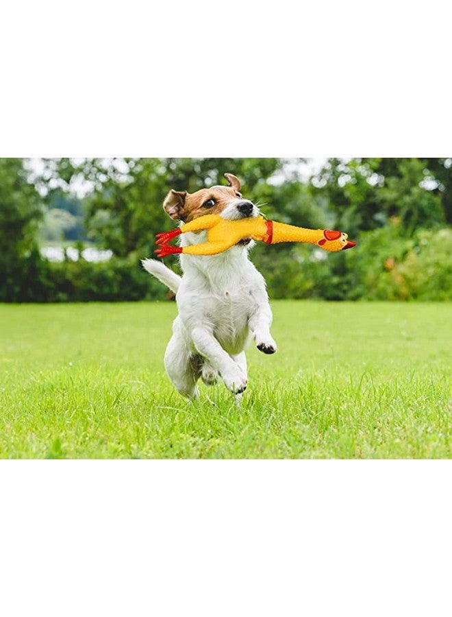 Puppy Squeaky Toys Combo Of 4 - Chicken Toy -Ball In Ball - Plain Bone - Baseball Squeaky Toys For Dogs & Puppies (Pack Of 4) - Image 5