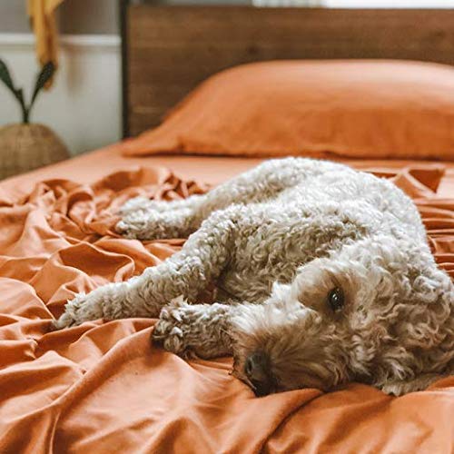 PeachSkinSheets PeachSkinSheets Night Sweats Pumpkin Spice 1500tc Soft Sheet Set - Split King (2 XL Fitted)  - Image 5