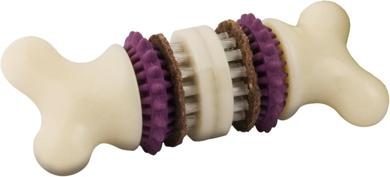 PetSafe Busy Buddy Bristle Bone Dog Toy - Interactive Chew Toy with Dental Care Features - Image 1