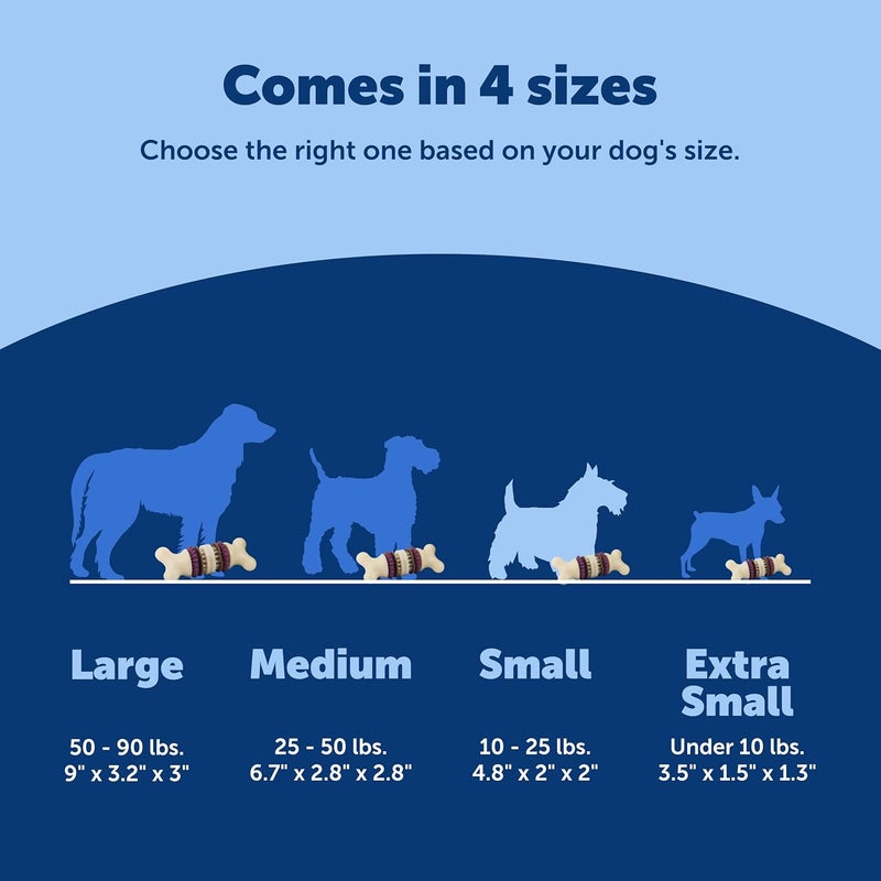 PetSafe Busy Buddy Bristle Bone Dog Toy - Interactive Chew Toy with Dental Care Features - Image 5