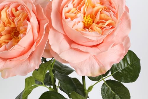 Fqueelvys 2Pcs Fake Austin Rose Peonies Flowers Real Touch Peach Roses with Stems 25.60'' Latex Peony Artificial Flowers for Home Decor Flower Arrangement Wedding Centerpieces Valentine's Day (Peach) - Image 2