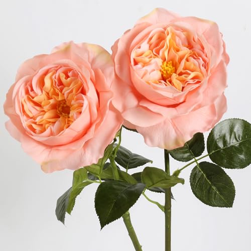 Fqueelvys 2Pcs Fake Austin Rose Peonies Flowers Real Touch Peach Roses with Stems 25.60'' Latex Peony Artificial Flowers for Home Decor Flower Arrangement Wedding Centerpieces Valentine's Day (Peach) - Image 1