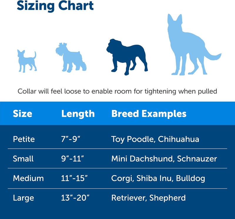 PetSafe Martingale Dog Collar with Quick Snap Buckle, 3/4" Medium, Deep Purple - Image 4