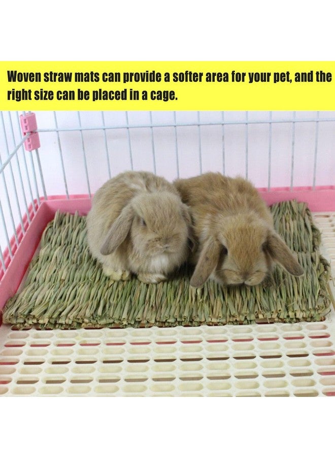 هامليدي سجادة عشب الأرانب من Hamiledyi مقاس 15.75 × 11 بوصة، عشب هامستر منسوج طبيعي كبير، فراش يدوي الصنع، حصيرة قش، لعبة مضغ لخنزير غينيا، شنشيلة، أرنب، سنجاب، قنفذ (عبوة من 6 قطع) - Image 3