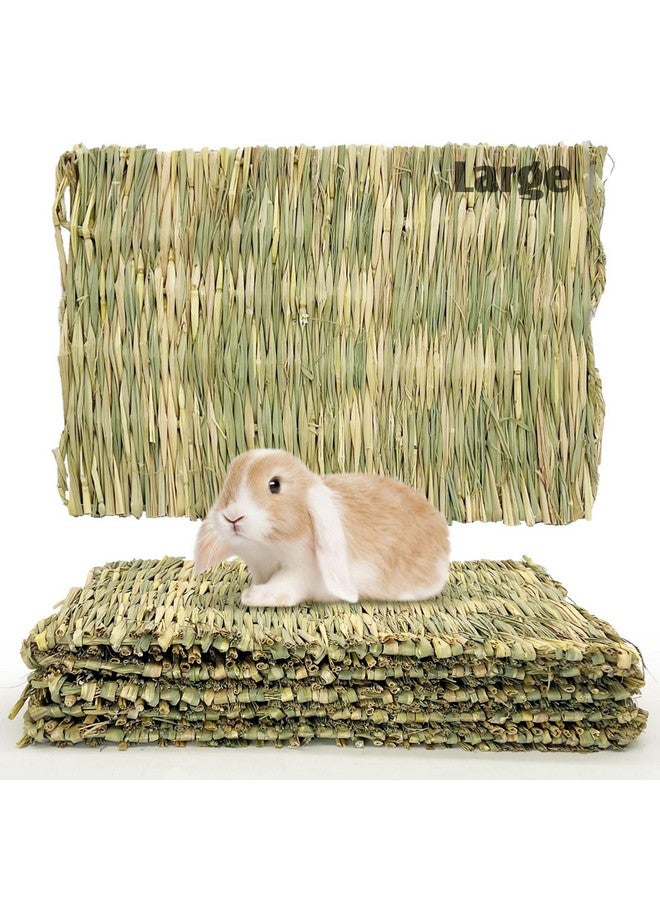 هامليدي سجادة عشب الأرانب من Hamiledyi مقاس 15.75 × 11 بوصة، عشب هامستر منسوج طبيعي كبير، فراش يدوي الصنع، حصيرة قش، لعبة مضغ لخنزير غينيا، شنشيلة، أرنب، سنجاب، قنفذ (عبوة من 6 قطع) - Image 1