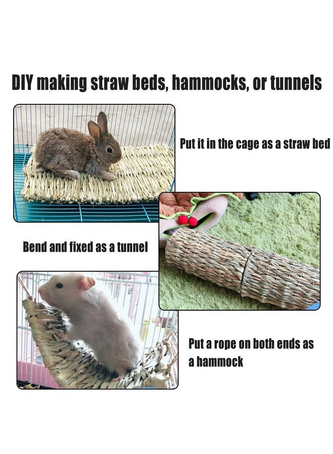 هامليدي سجادة عشب الأرانب من Hamiledyi مقاس 15.75 × 11 بوصة، عشب هامستر منسوج طبيعي كبير، فراش يدوي الصنع، حصيرة قش، لعبة مضغ لخنزير غينيا، شنشيلة، أرنب، سنجاب، قنفذ (عبوة من 6 قطع) - Image 5
