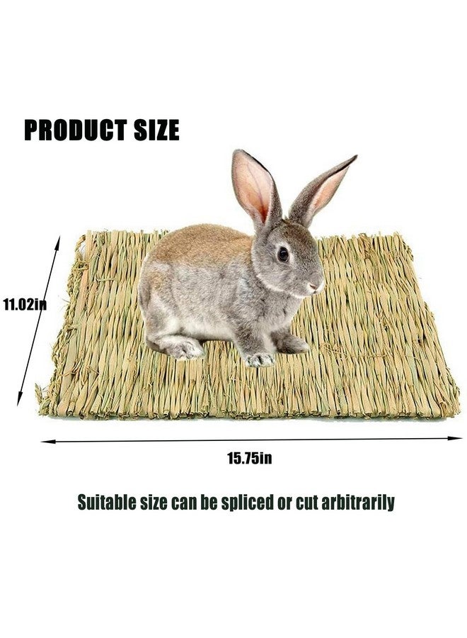 هامليدي سجادة عشب الأرانب من Hamiledyi مقاس 15.75 × 11 بوصة، عشب هامستر منسوج طبيعي كبير، فراش يدوي الصنع، حصيرة قش، لعبة مضغ لخنزير غينيا، شنشيلة، أرنب، سنجاب، قنفذ (عبوة من 6 قطع) - Image 2