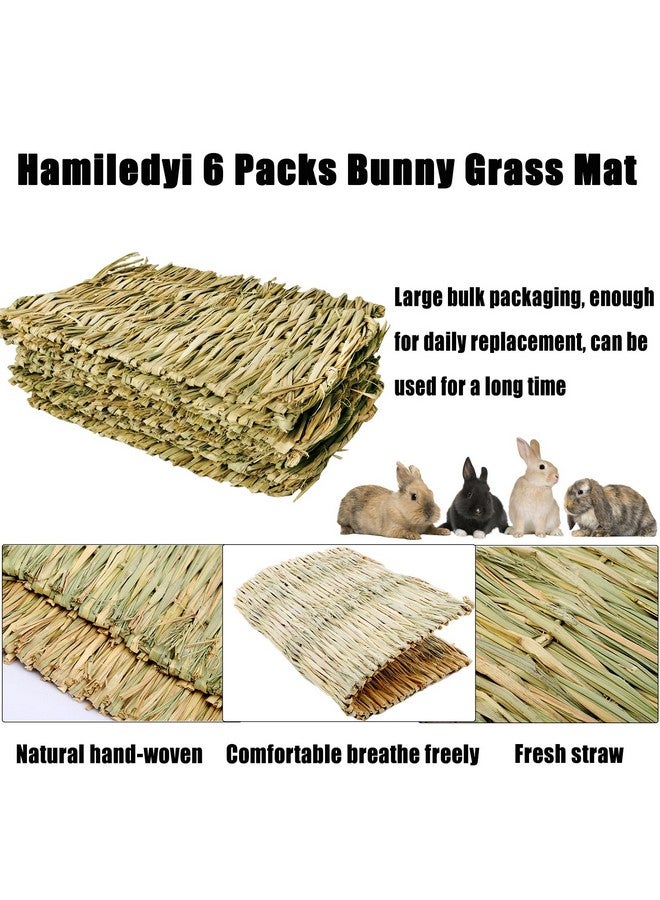 هامليدي سجادة عشب الأرانب من Hamiledyi مقاس 15.75 × 11 بوصة، عشب هامستر منسوج طبيعي كبير، فراش يدوي الصنع، حصيرة قش، لعبة مضغ لخنزير غينيا، شنشيلة، أرنب، سنجاب، قنفذ (عبوة من 6 قطع) - Image 4